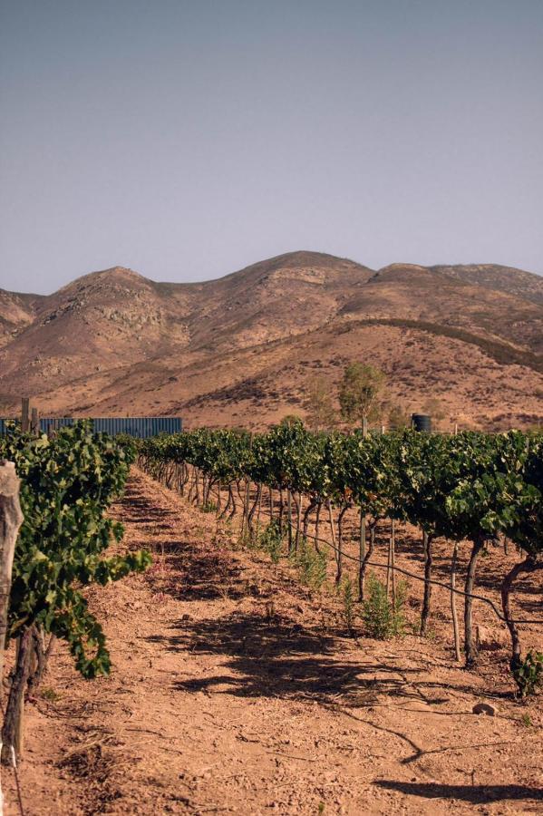 The Pangea Valle de Guadalupe Esterno foto