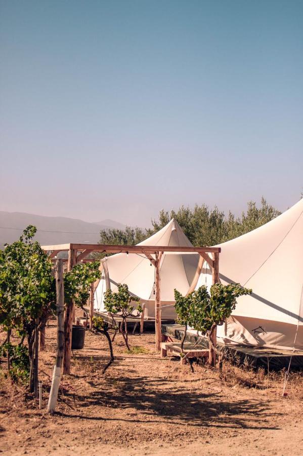 The Pangea Valle de Guadalupe Esterno foto